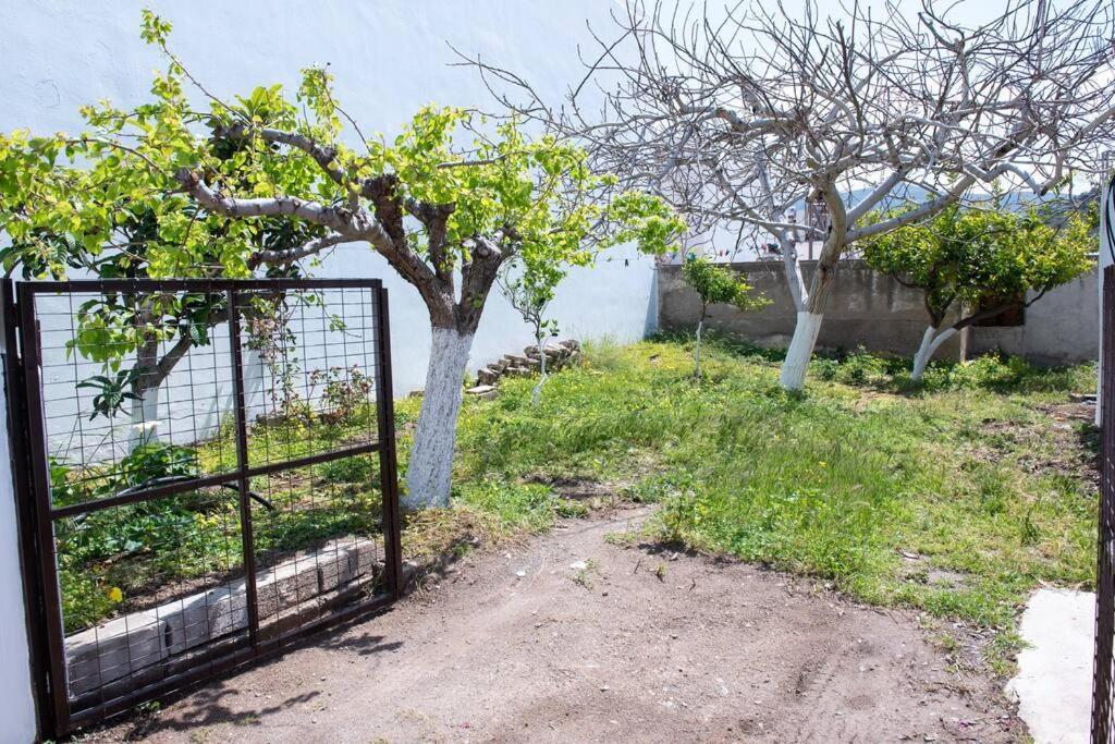 Palaikastro Holiday Apartment Sitia  Dış mekan fotoğraf
